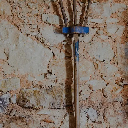 Alloggio per agriturismo Aba Da Serra - *