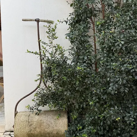 Aba Da Serra - Gospodarstwo agroturystyczne Abrigada