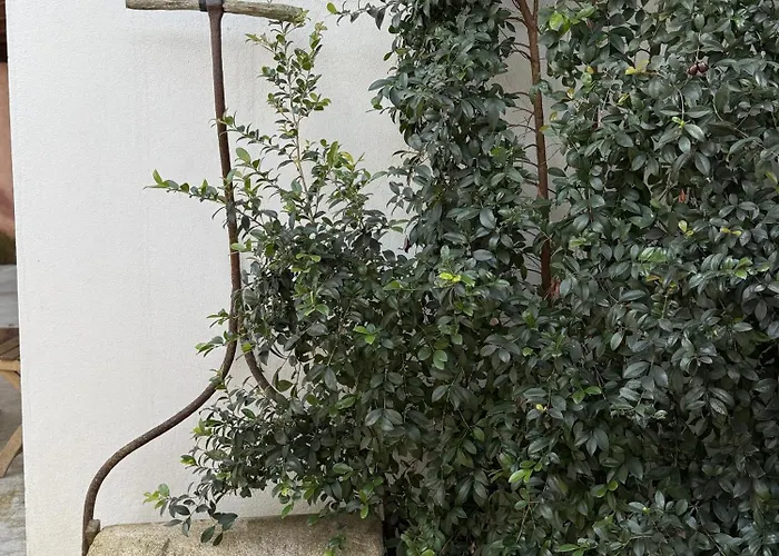 Aba Da Serra - Farma Abrigada